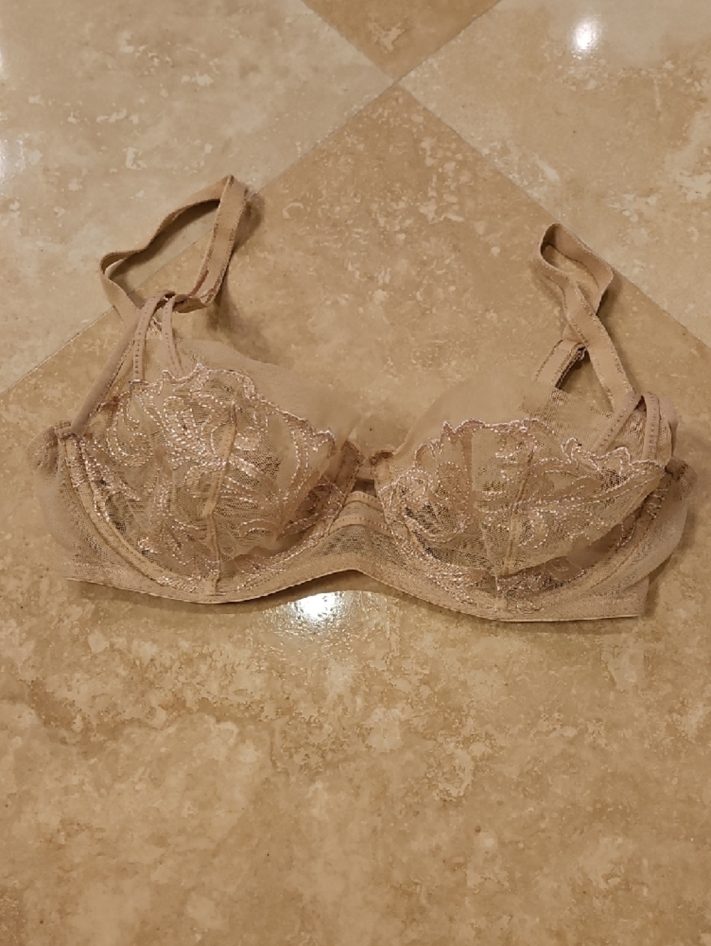 Felina Sheer Embroidered Underwire Bra in Nude Beige